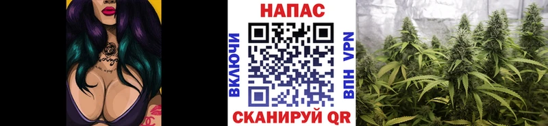 Продажа наркотиков Ялуторовск Кодеин  Марихуана  АМФЕТАМИН  Мефедрон  COCAIN  Гашиш 
