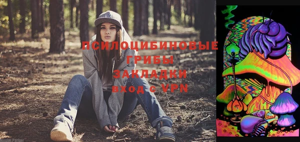 бутират Белокуриха