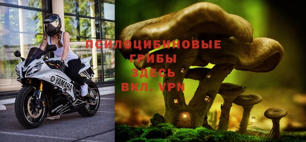 прущая мука Беломорск